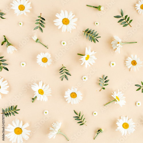 Pattern made of chamomiles, petals, leaves on beige background. Flat lay, top view floral background.