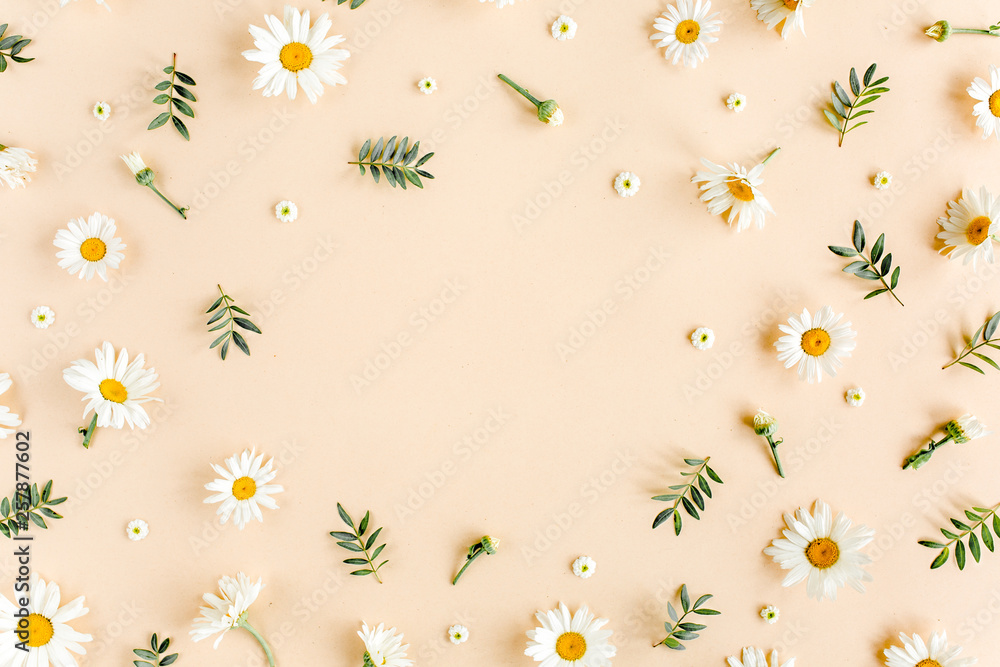 Fototapeta premium Frame made of chamomiles, petals, leaves on beige background. Flat lay, top view floral background.