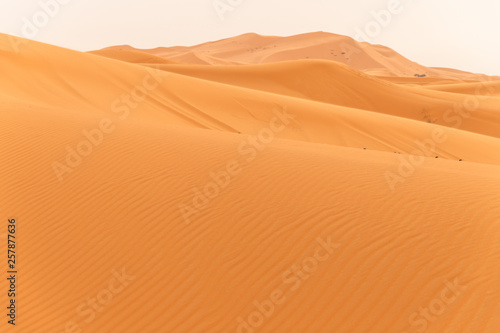 Ripples and textures of the sand dunes in Sahara Desert  Merzouga   Morocco