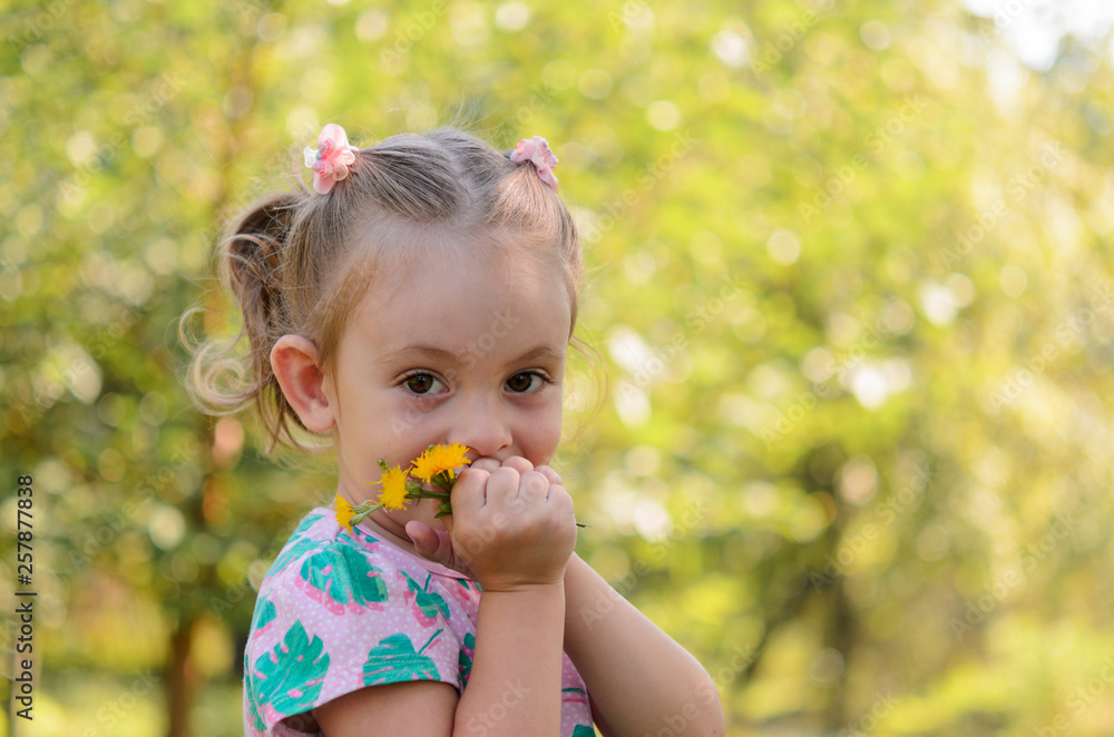 A happy cute little girl with dandelions on a sunny glade. A happy cute little girl with dandelions on a sunny glade.