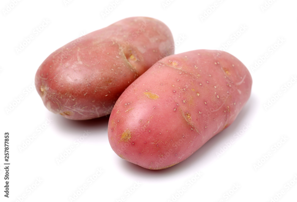 New red potato isolated on white background New red potato isolated on white background