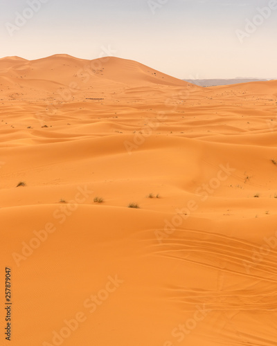 Ripples and textures of the sand dunes in Sahara Desert (Merzouga), Morocco