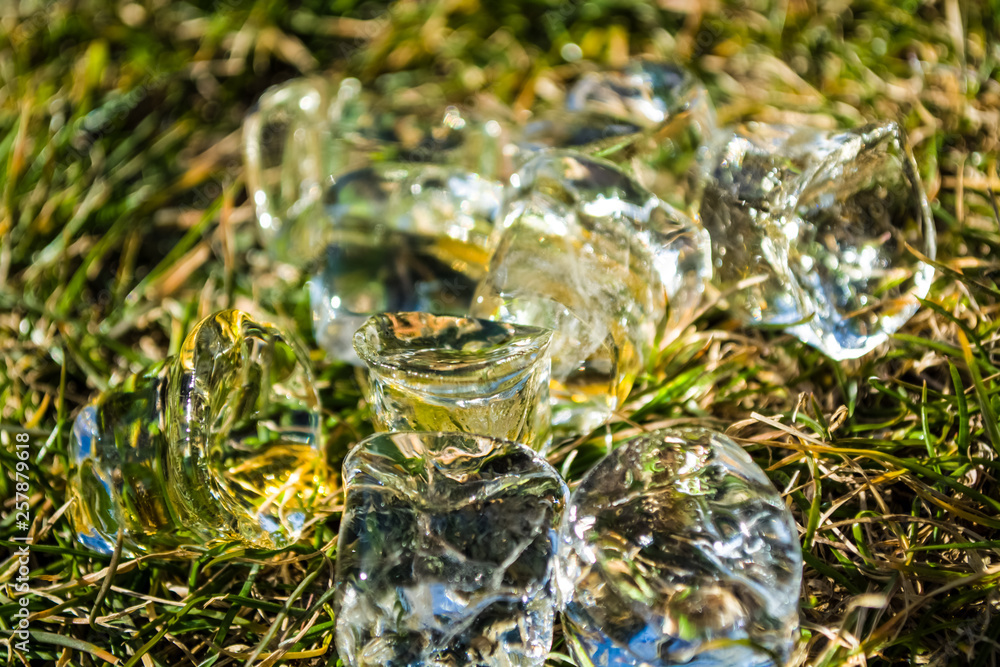 Green spring grass on it ice cubes lie. Sunshine. Meadow. Lawn. Background or texture. Green spring grass on it ice cubes lie. Sunshine. Meadow. Lawn. Background or texture.