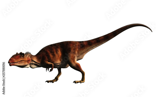 Giganotosaurus  one of the largest known terrestrial carnivores  was a carcharodontosaurid theropod dinosaur. Here is a brown one on a white background. 3D Rendering. 