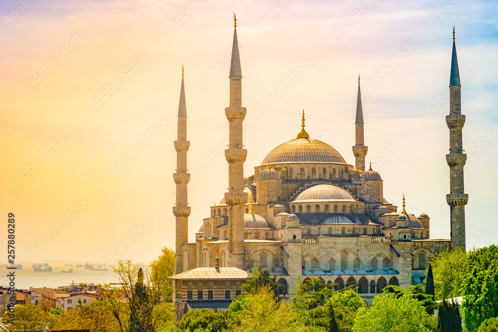 Fototapeta premium Minarets and domes of Blue Mosque with Bosporus and Marmara sea in background, Istanbul, Turkey.