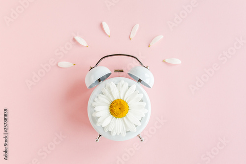 Composition-summer time from clock and chamomile flowers on pink background. Flat lay, top view 