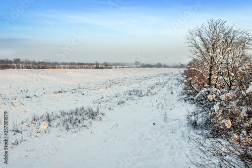 Snow-covered field and blue sky