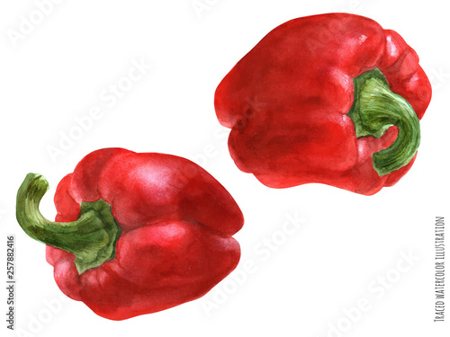 watercolor illustration of bell peppers