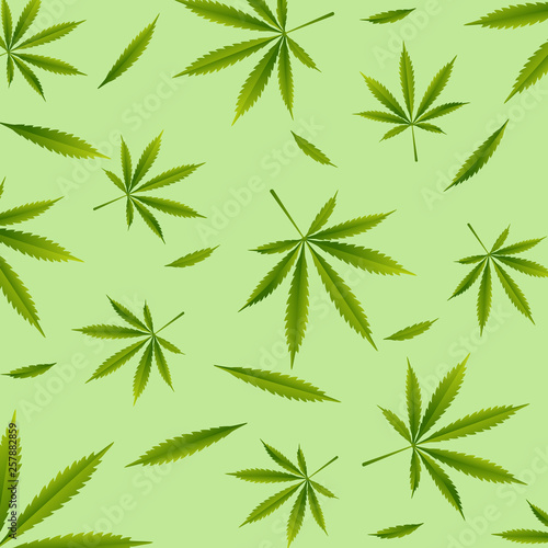  Cannabis A green branch  (Cannabis indica, Marijuana) medicinal plant with leaves. Watercolor hand drawn painting illustration isolated  