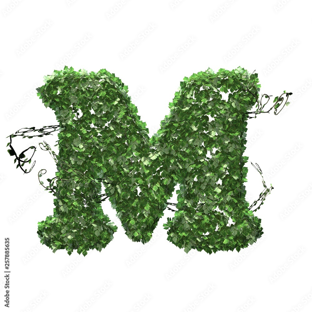Letter M created of green ivy leaves - isolated on a white background Letter M created of green ivy leaves - isolated on a white background