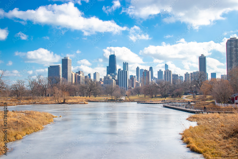 Fototapeta premium Frozen Lake Chicago