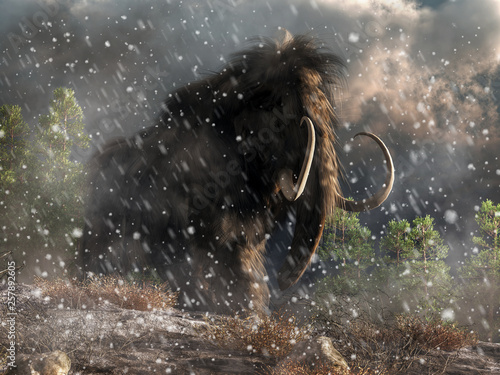 Cuadro en lienzo Out of the swirling snow trudges a massive hairy beast