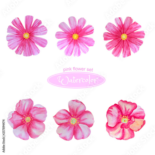 A set of watercolor flowers in pink for design  composition  greetings. Cosmos and dog-rose  flower heads.   Isolated on white background.