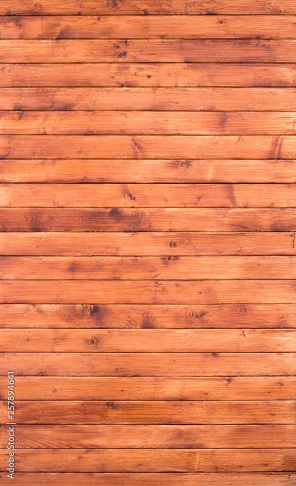 Fototapeta premium big Wood Background