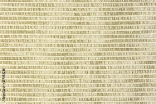 Texture of rough dense ribbed fabric. Sofa upholstery close-up. Light beige blank background for layouts.