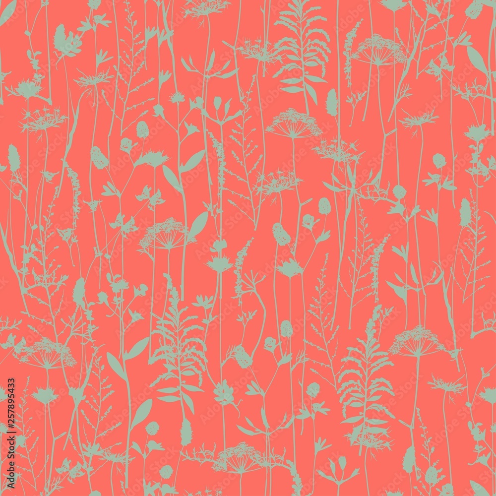 Set of field flowers, herbs. Element of seamless pattern. Paper design. Print element. Vector silhouettes collection. Set of field flowers, herbs. Element of seamless pattern. Paper design. Print element. Vector silhouettes collection.