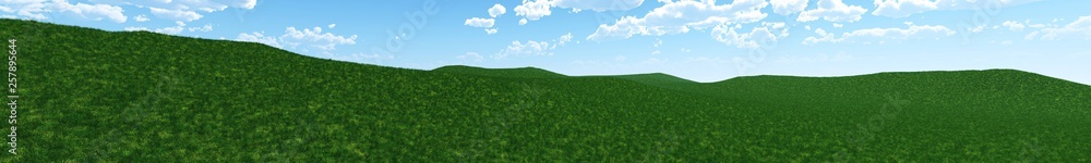 Green grass and blue sky, panorama
