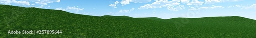 Green grass and blue sky  panorama
