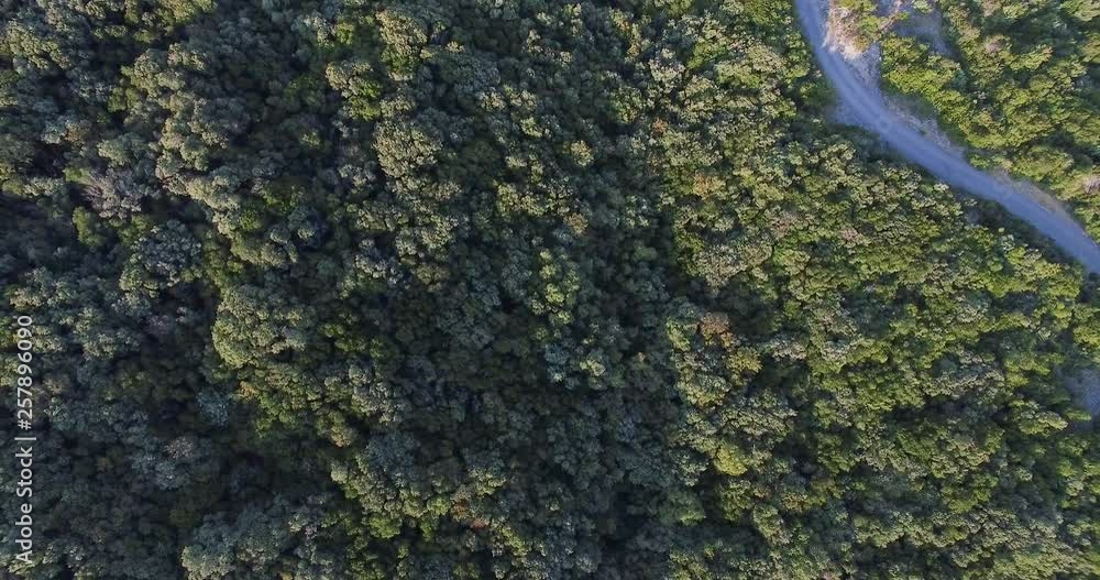 Aerial shot of a small windng road surrounded with mediterranean vegetation. 4k drone video forward and downward. Aerial shot of a small windng road surrounded with mediterranean vegetation. 4k drone video forward and downward.