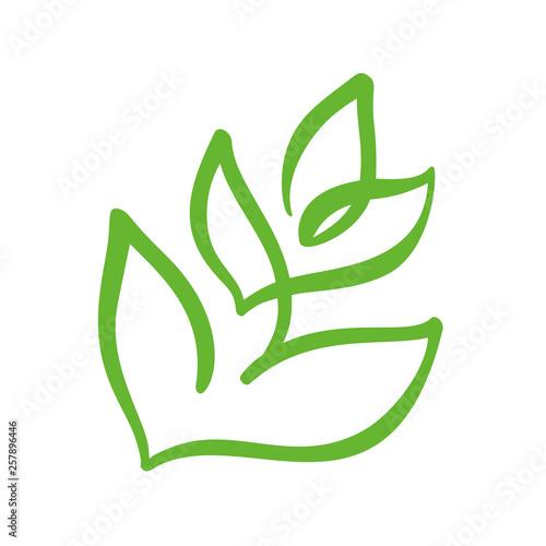 Logo of green leaf of tea. Ecology nature element vector icon garden. Eco vegan bio calligraphy hand drawn illustration