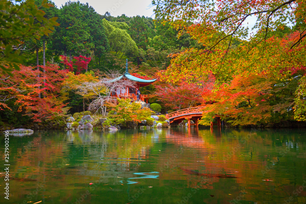 Beautiful japanese garden with colorful maple trees in autumn, Kyoto