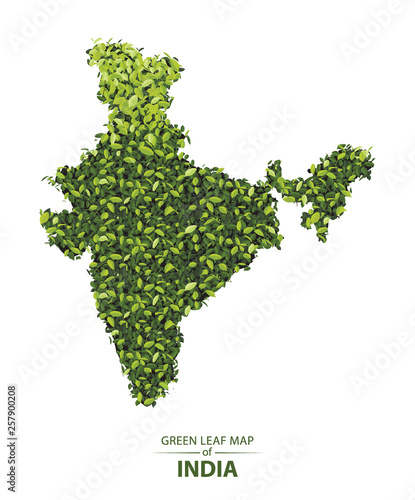 Green leaf map of india vector illustration of a forest is concept