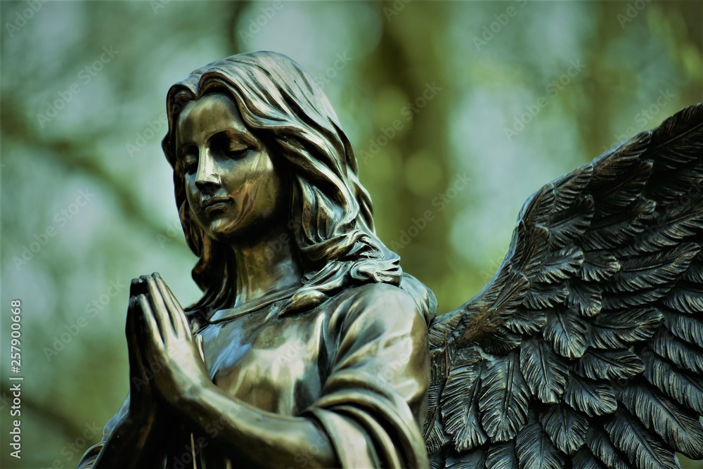 Fototapeta premium An Image of a statue