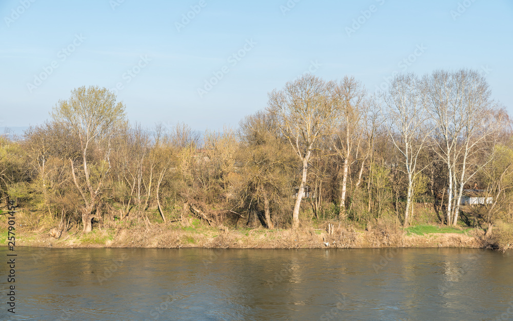 River Big Morava in the Serbia with trees and grass on the shore. 