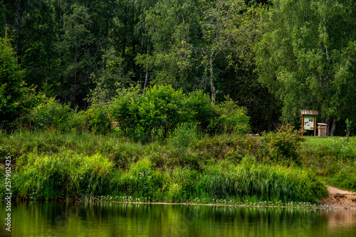 Green grass and forest on the river bank.