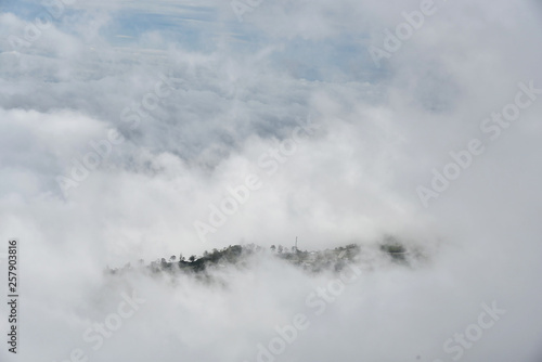The mountain with cloud and mist in rainy season at Phu tub berk , Petchaboon , Thailand