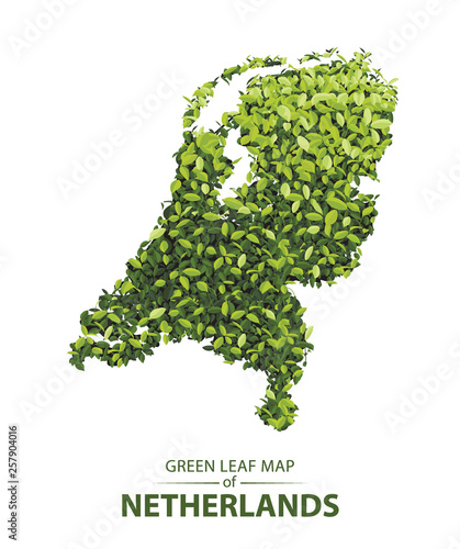 Green leaf map of netherlands vector illustration of a forest is concept