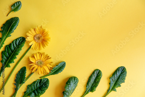 Gerbera yellow flower and leaves decorate on yellow background - top view copy space Spring and summer mood