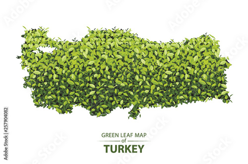 Green leaf map of turkey vector illustration of a forest is concept
