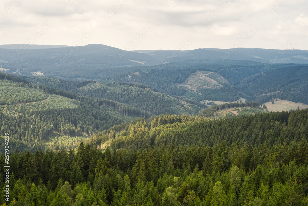 Blick über den Thüringer Wald