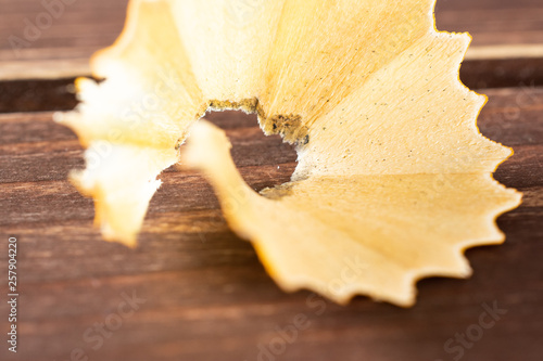Closeup of one piece of yellow pencil fan-shaped shaving on brown wood