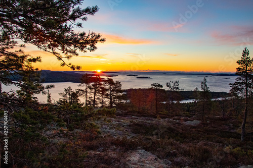 sunrise in high coast of Sweden photo