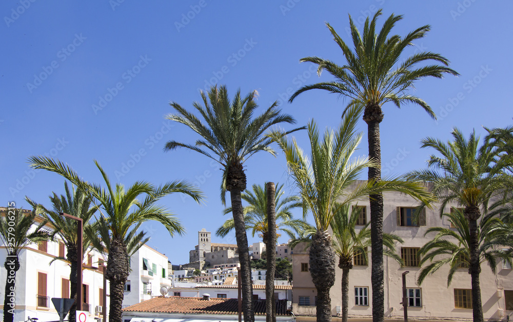 Ibiza town of Eivissa with the cathedral and old town