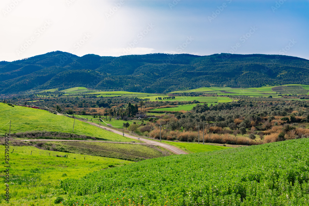 Green Hills and a Road near the Roman Ruins of Volubilis in Morocco Green Hills and a Road near the Roman Ruins of Volubilis in Morocco