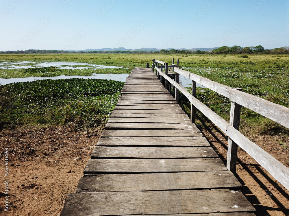 Obraz premium Old wooden deck leading towards a small pond