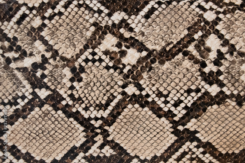 background of snake skin texture