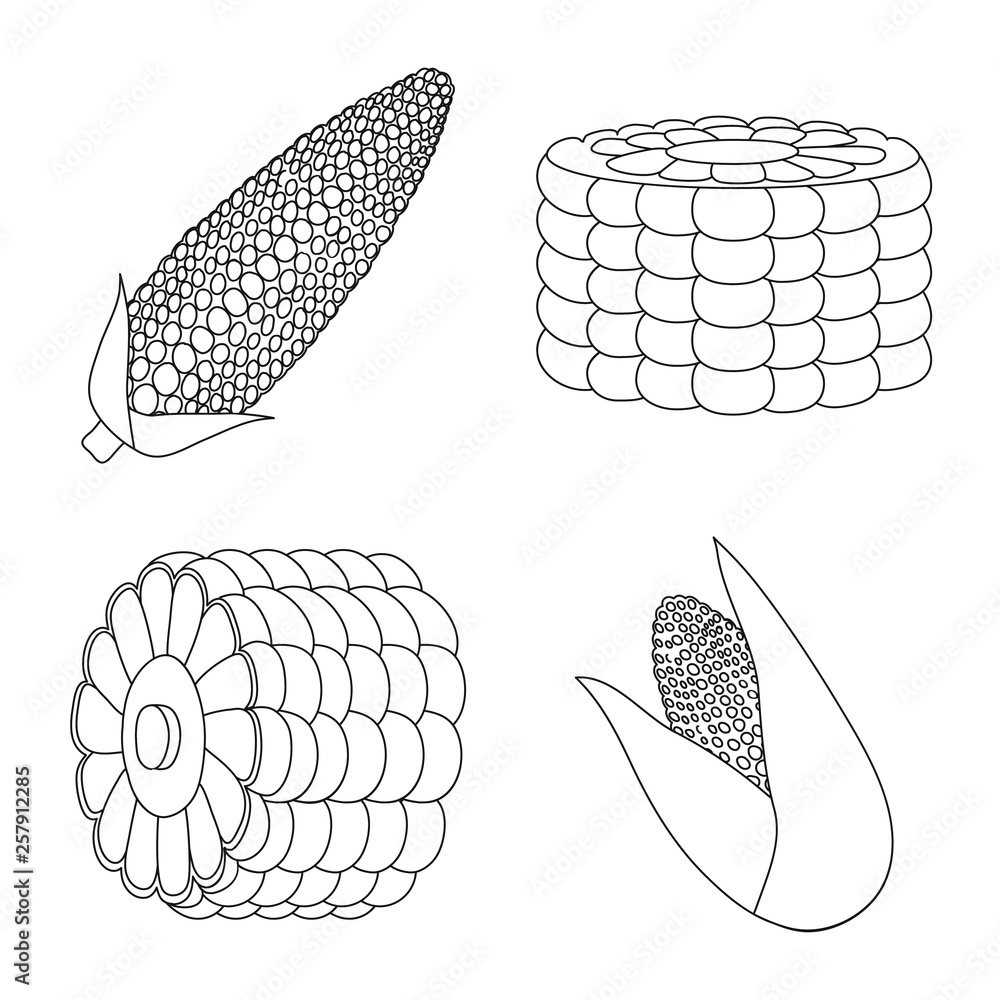 Isolated object of farm and crop sign. Set of farm and nutrition stock vector illustration.