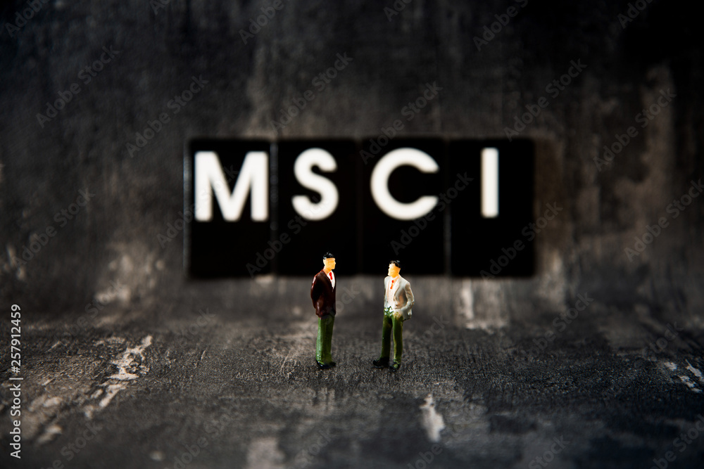 Fototapeta premium Business investment concept picture - MSCI