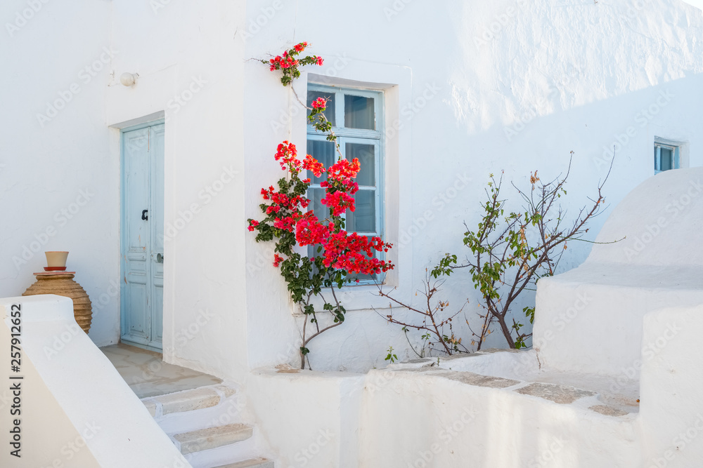 Naklejka premium White house facade with blue door, window and beautiful flowers in Naoussa town, Paros island, Cyclades