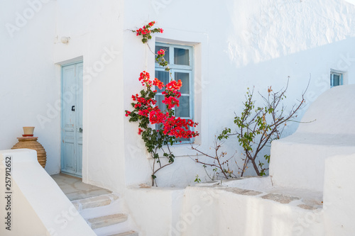 Fototapeta Naklejka Na Ścianę i Meble -  White house facade with blue door, window and  beautiful flowers in Naoussa town, Paros island, Cyclades
