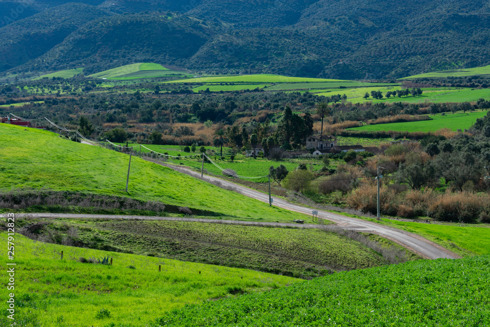 Green Hills and a Road near the Roman Ruins of Volubilis in Morocco