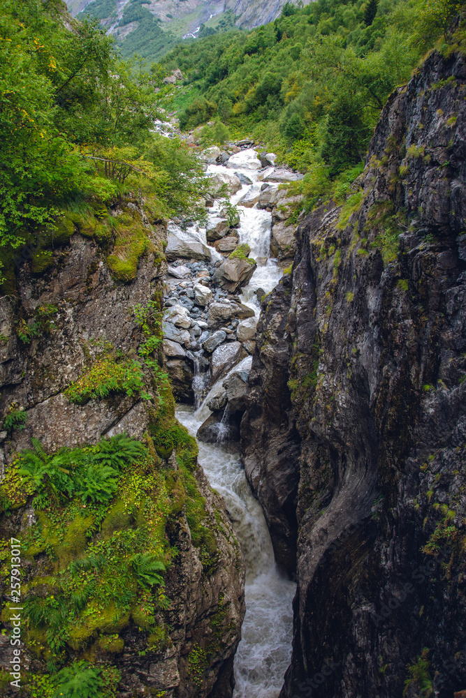 Obraz premium A river in a narrow gorge of the Caucasus Mountains in the vicinity of Dombai. Summer day.