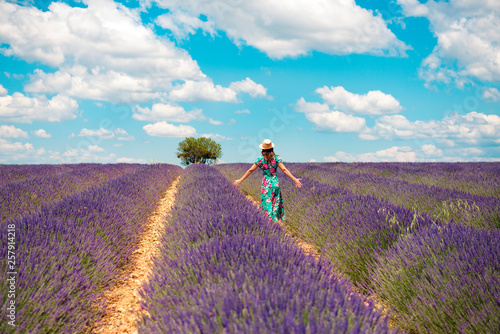 France, Provence, Valensole plateau, back view of woman standing among lavender fields in summer