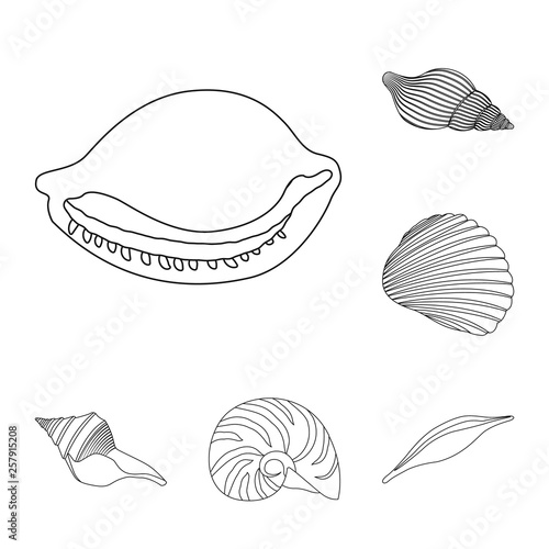 Isolated object of exotic and seafood sign. Collection of exotic and aquatic stock vector illustration.