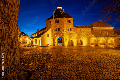 Night Scene at Harderwijk Gelderland with clear sky and monumental historic center