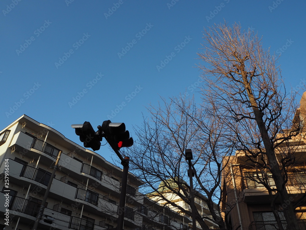 宮前平の街の風景/Cityscape of Miyamaedaira town, Kawasaki City, Kanagawa Prefecture, which is a residential area in Japan 宮前平の街の風景/Cityscape of Miyamaedaira town, Kawasaki City, Kanagawa Prefecture, which is a residential area in Japan